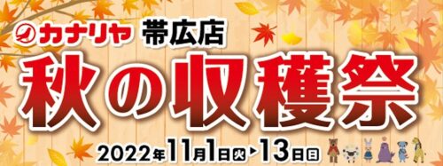 帯広店「秋の収穫祭」のお知らせです　11/1(火)～13(日)迄